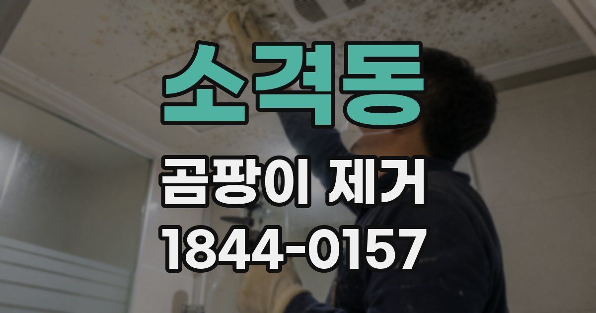 소격동 곰팡이 제거