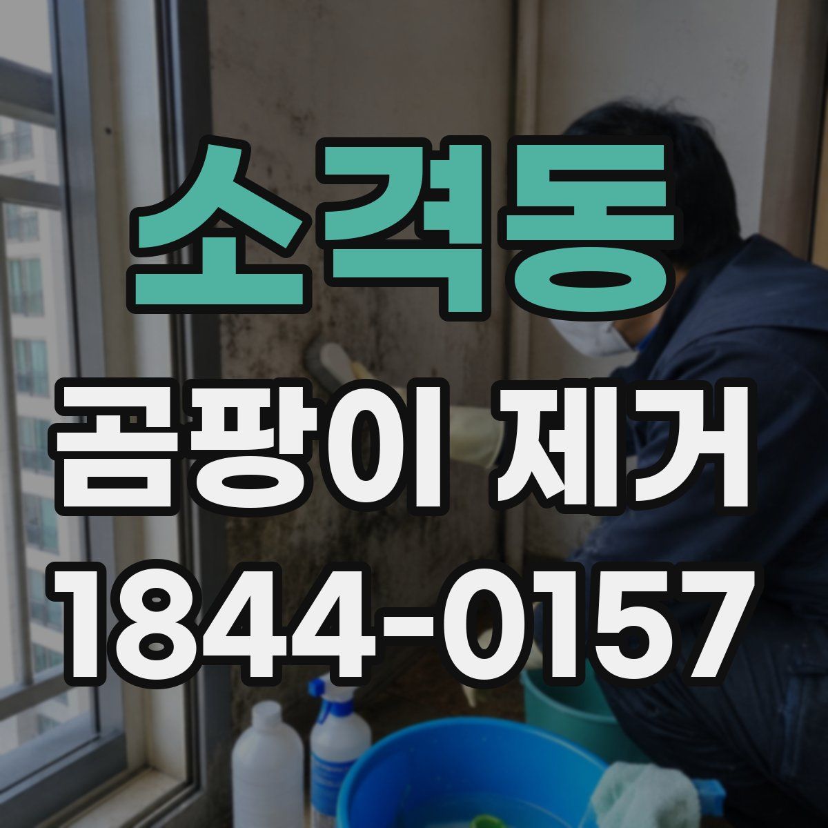 소격동 곰팡이 제거