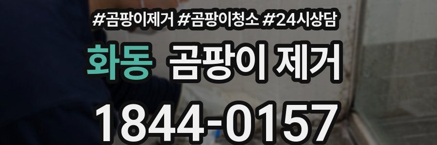 화동 곰팡이 제거