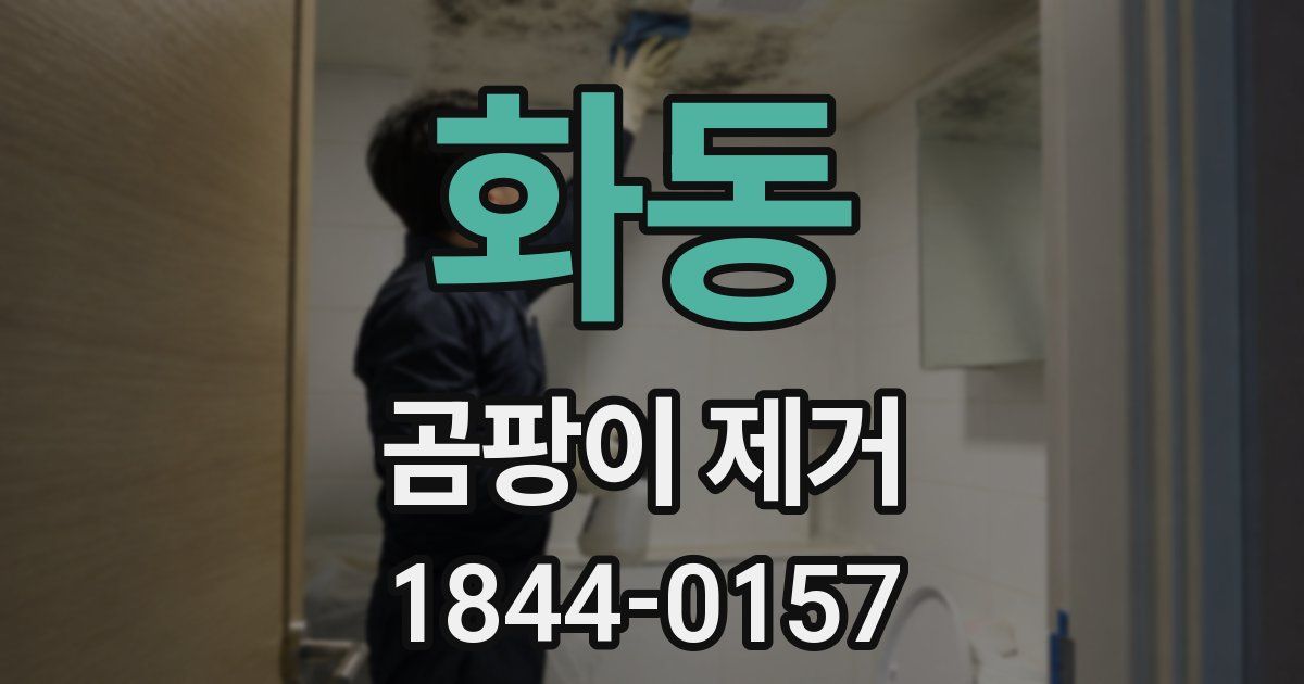 화동 곰팡이 제거
