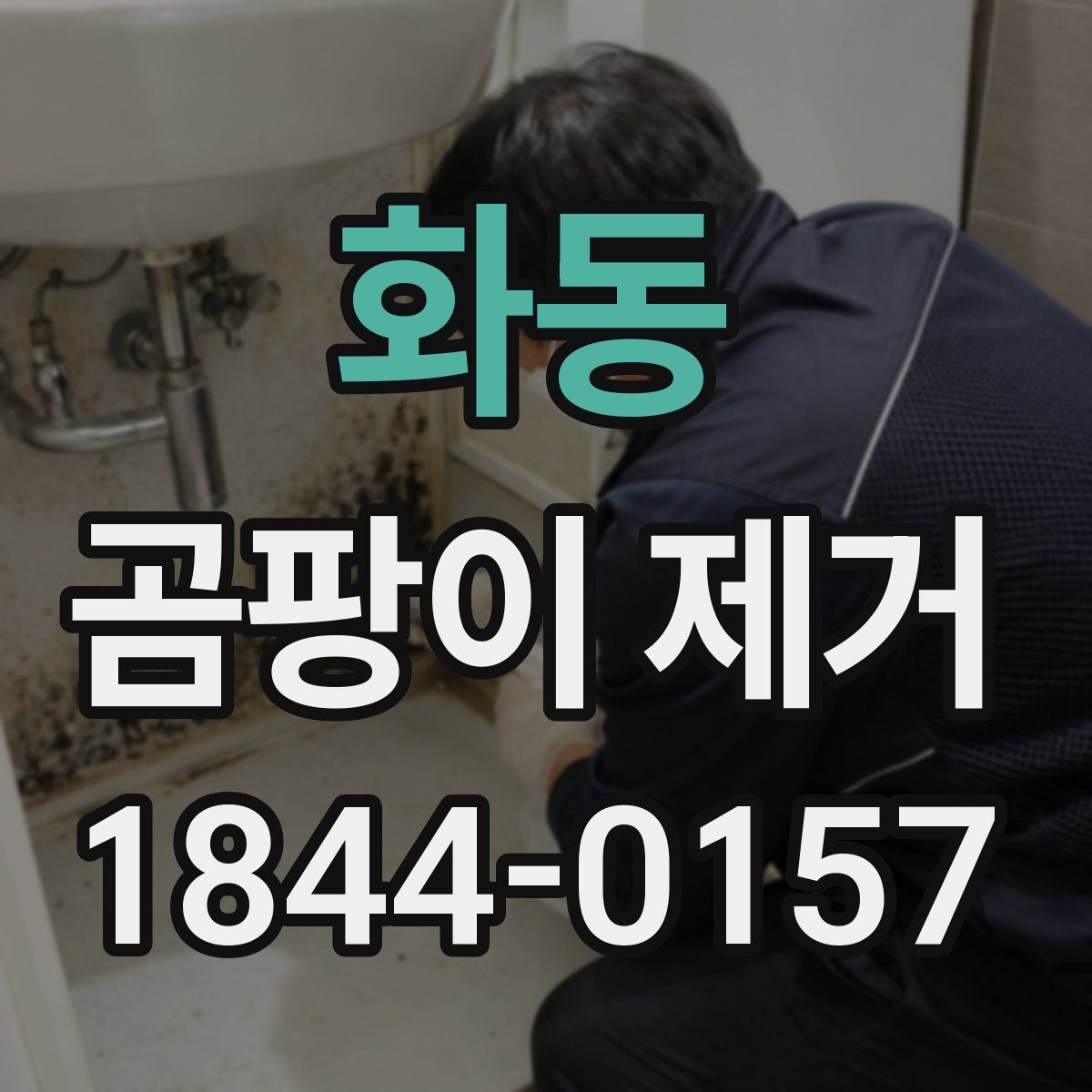 화동 곰팡이 제거
