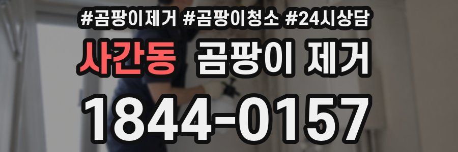 사간동 곰팡이 제거
