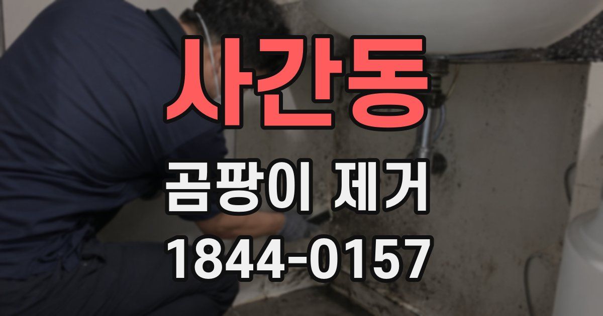 사간동 곰팡이 제거