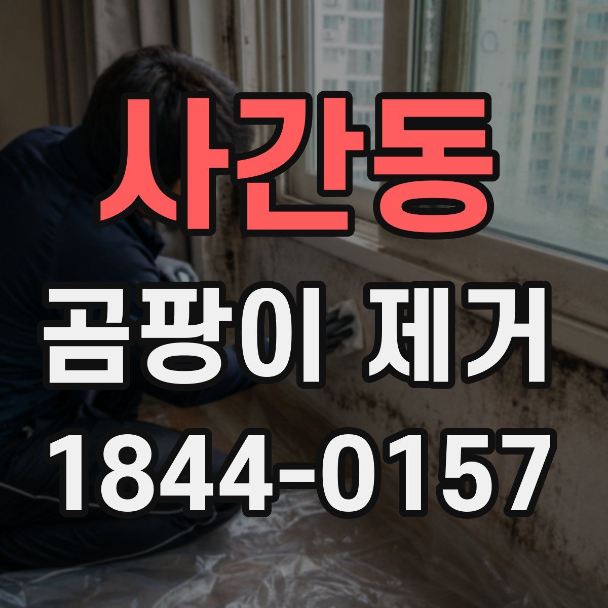 사간동 곰팡이 제거