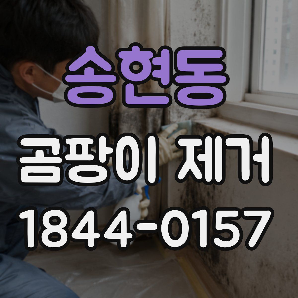 송현동 곰팡이 제거