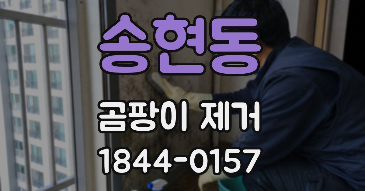 송현동 곰팡이 제거