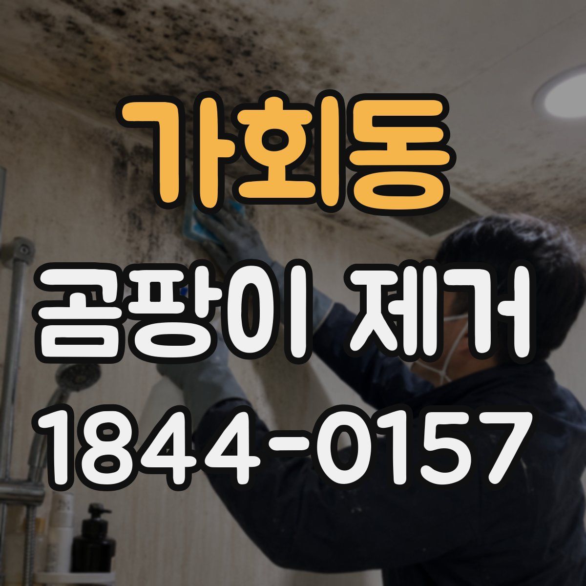 가회동 곰팡이 제거