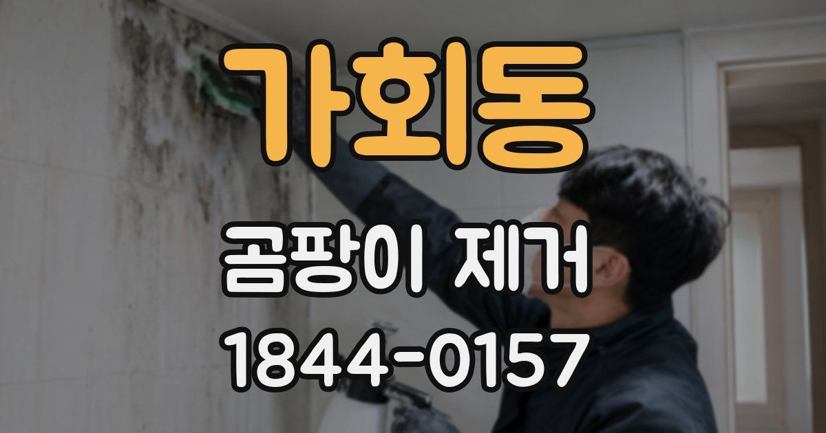 가회동 곰팡이 제거