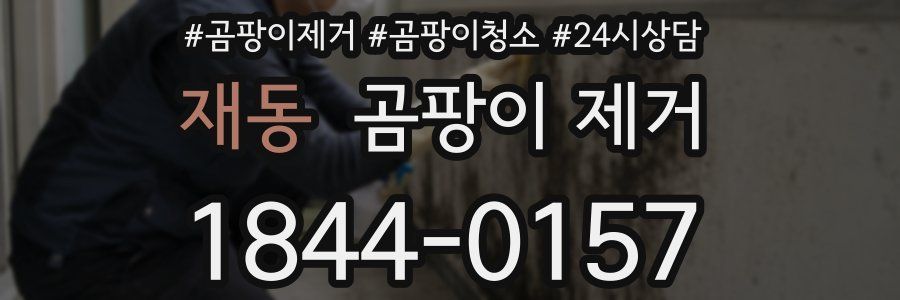 재동 곰팡이 제거
