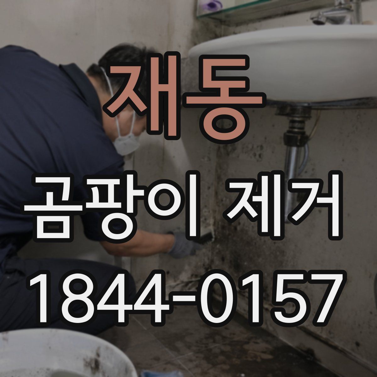 재동 곰팡이 제거