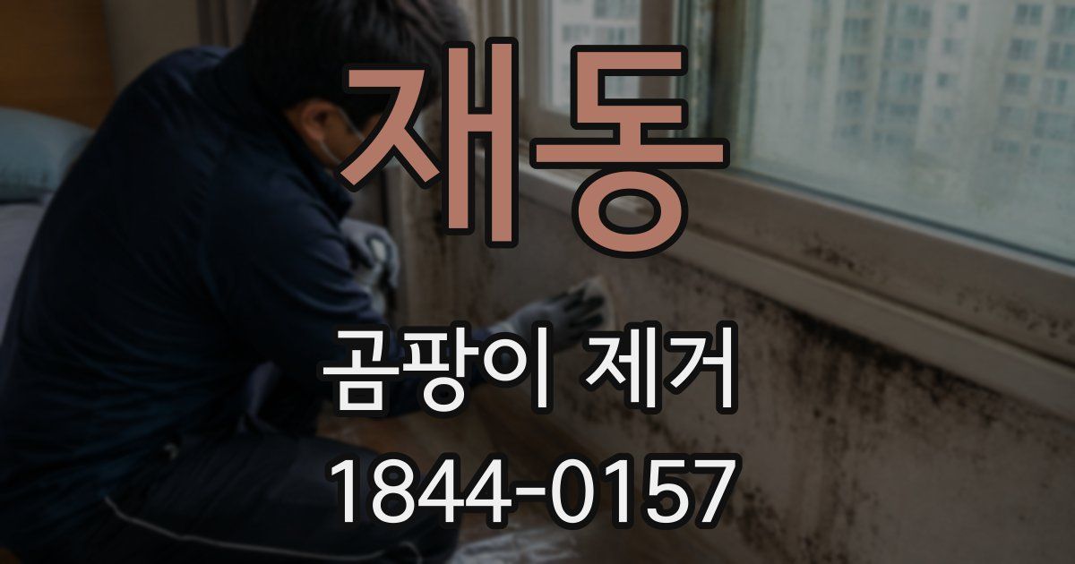 재동 곰팡이 제거