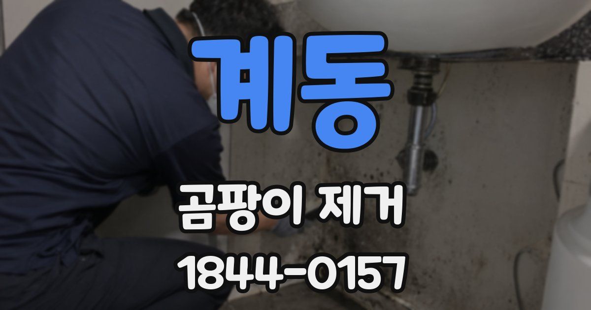 계동 곰팡이 제거