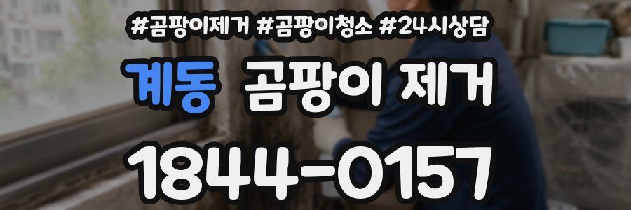 계동 곰팡이 제거