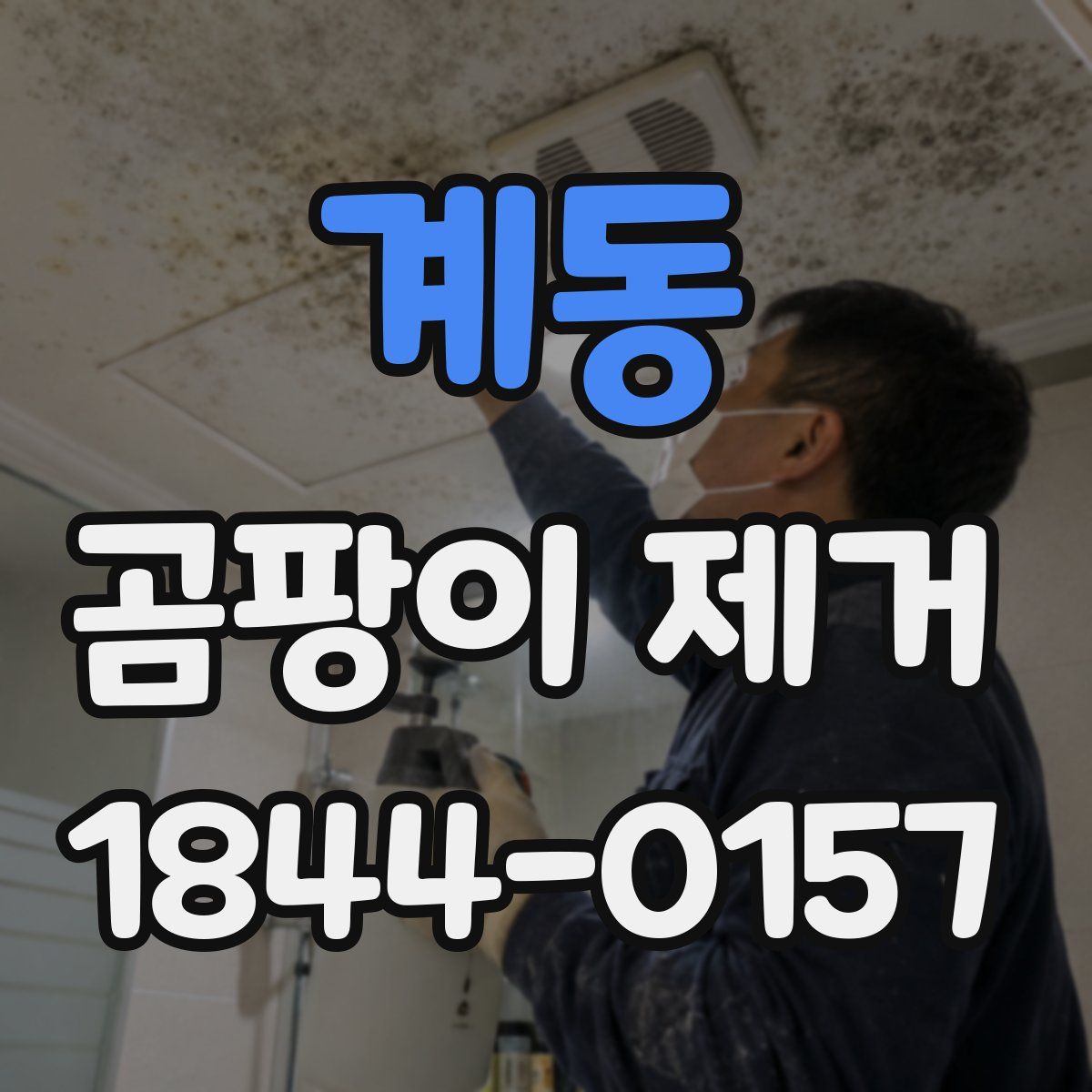 계동 곰팡이 제거