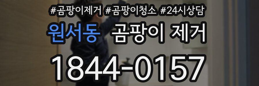 원서동 곰팡이 제거