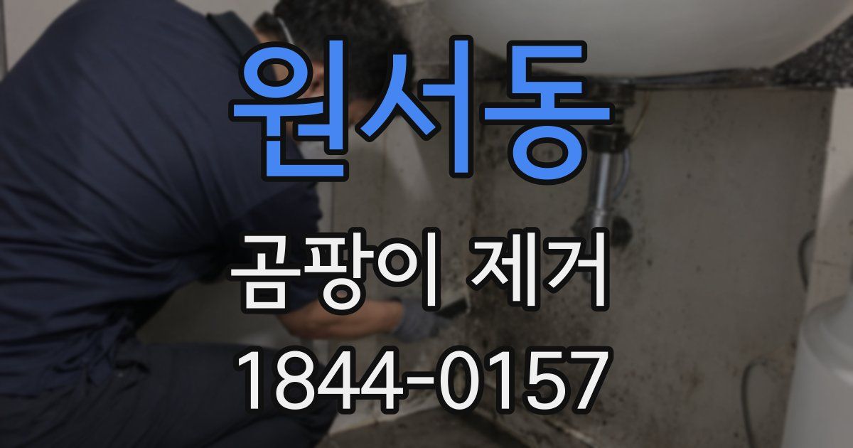 원서동 곰팡이 제거