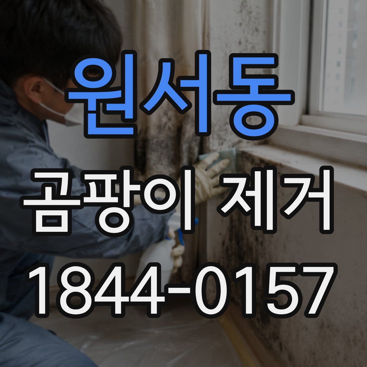원서동 곰팡이 제거