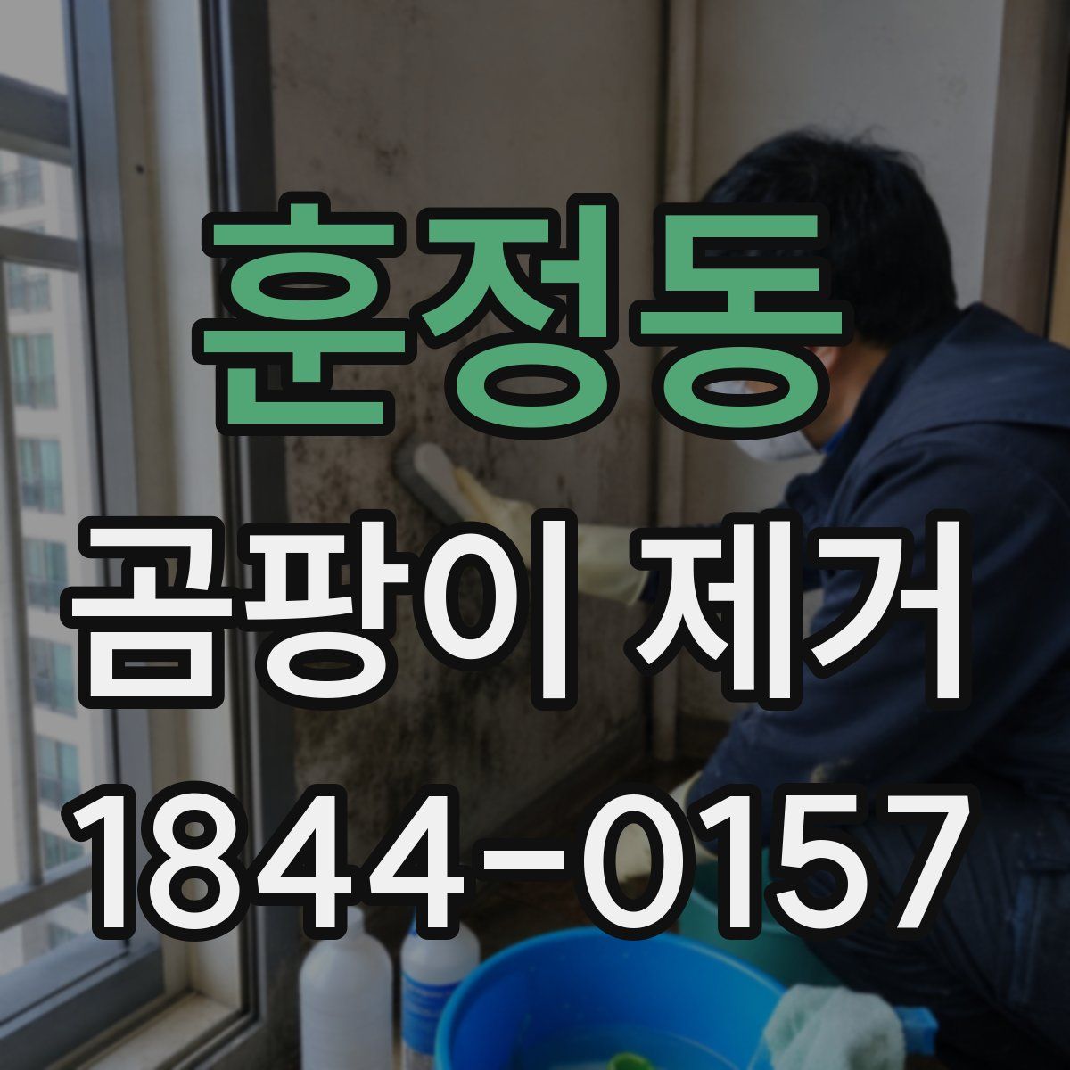 훈정동 곰팡이 제거