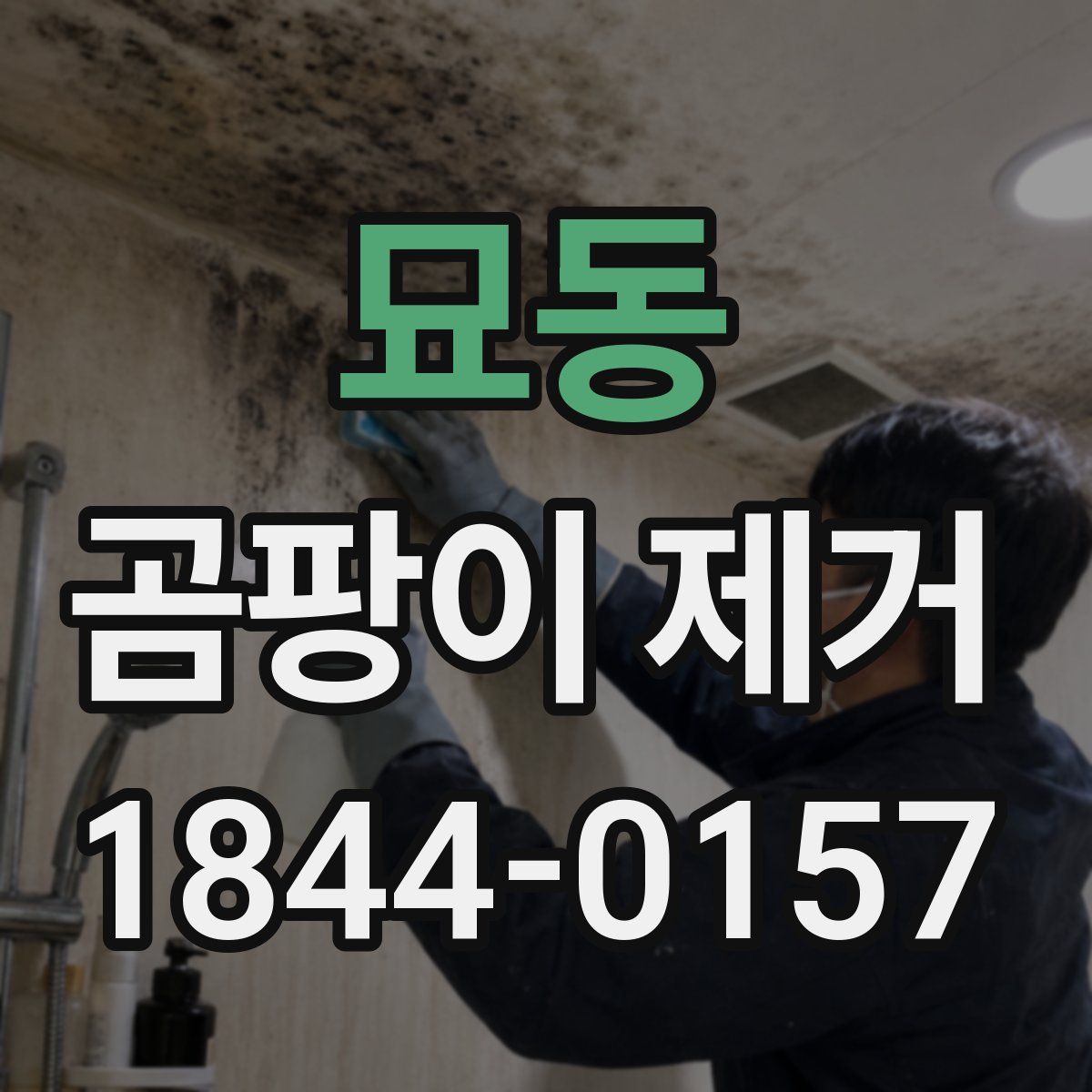 묘동 곰팡이 제거