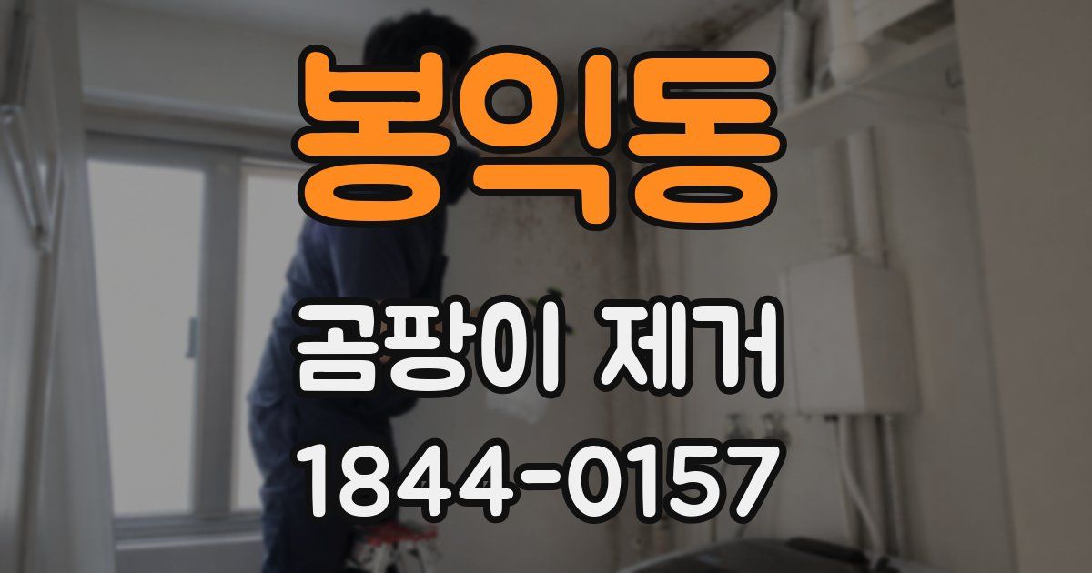 봉익동 곰팡이 제거