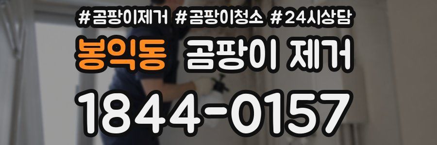 봉익동 곰팡이 제거