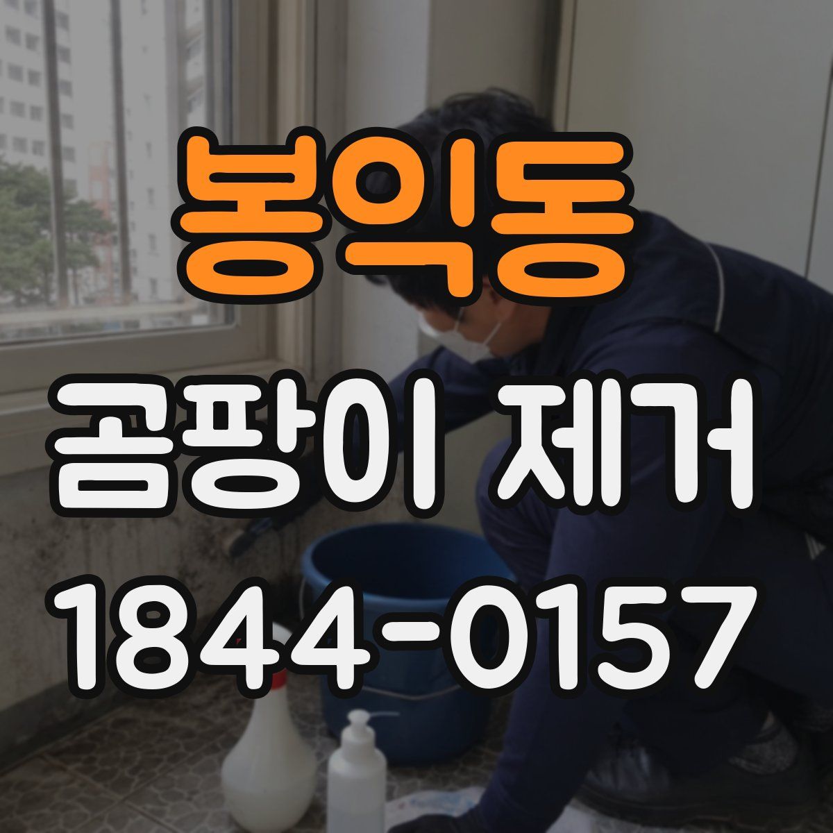 봉익동 곰팡이 제거