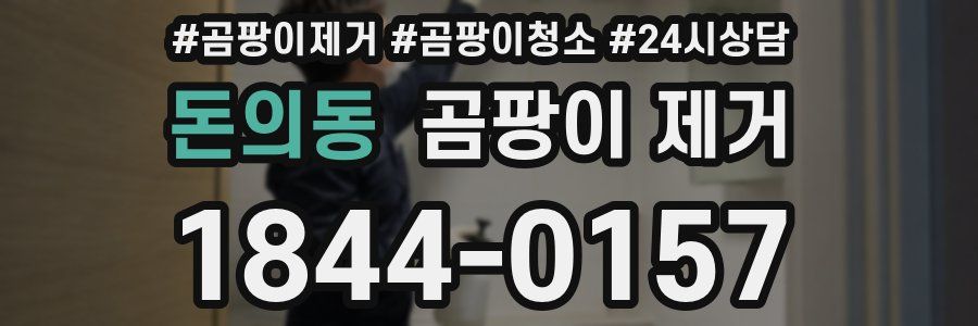 돈의동 곰팡이 제거