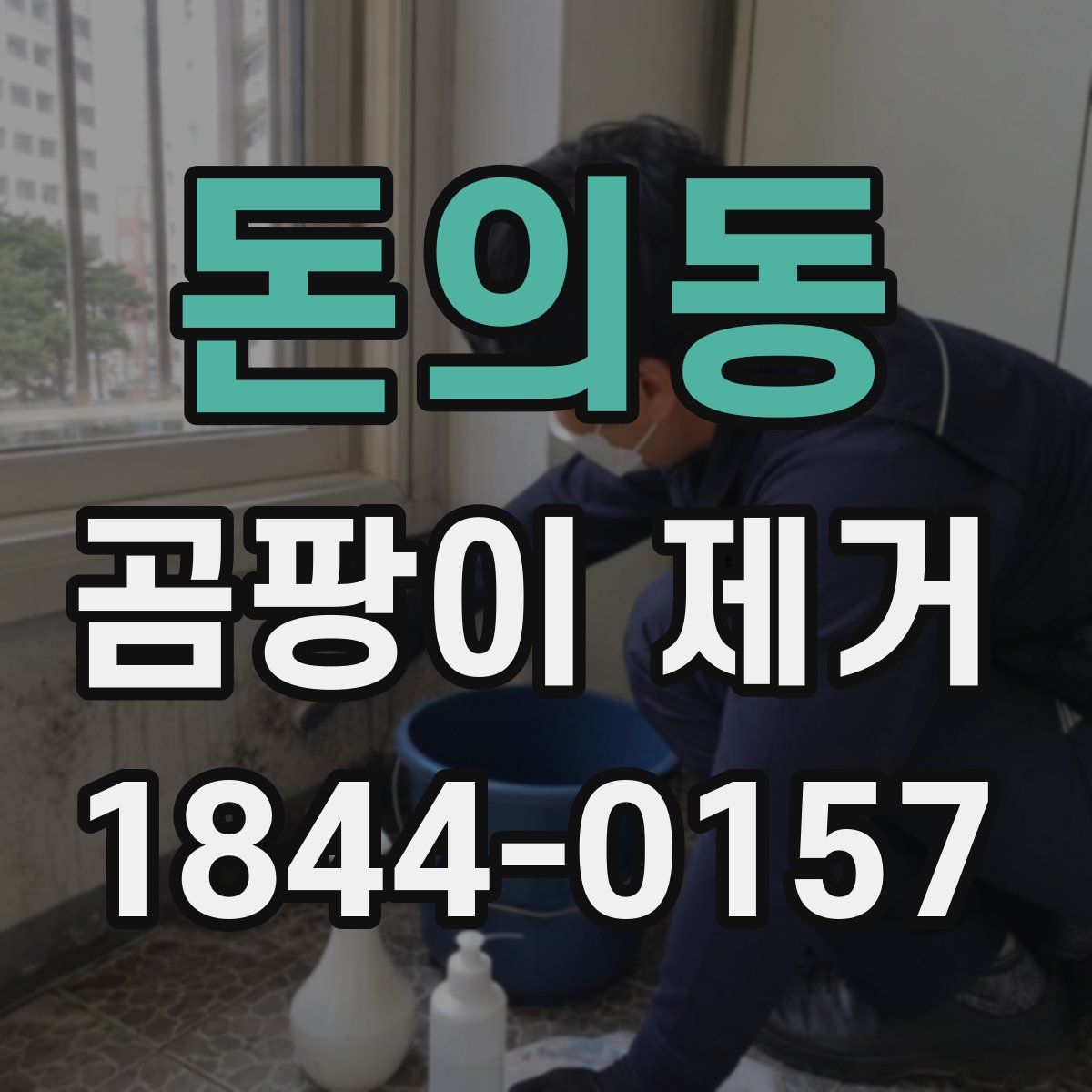 돈의동 곰팡이 제거