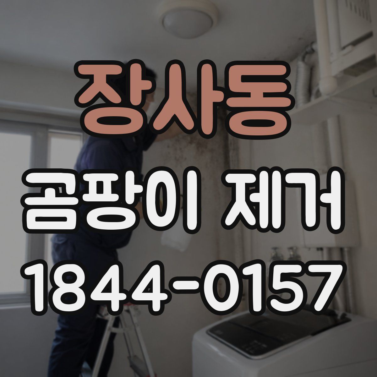 장사동 곰팡이 제거