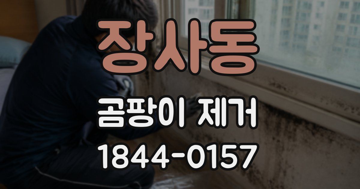 장사동 곰팡이 제거