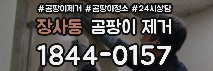 장사동 곰팡이 제거
