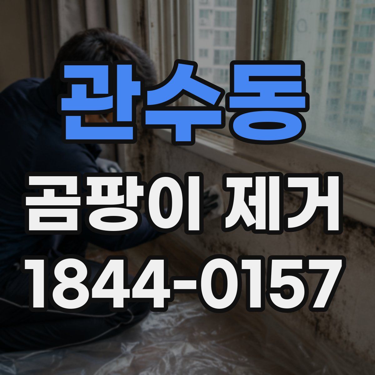 관수동 곰팡이 제거