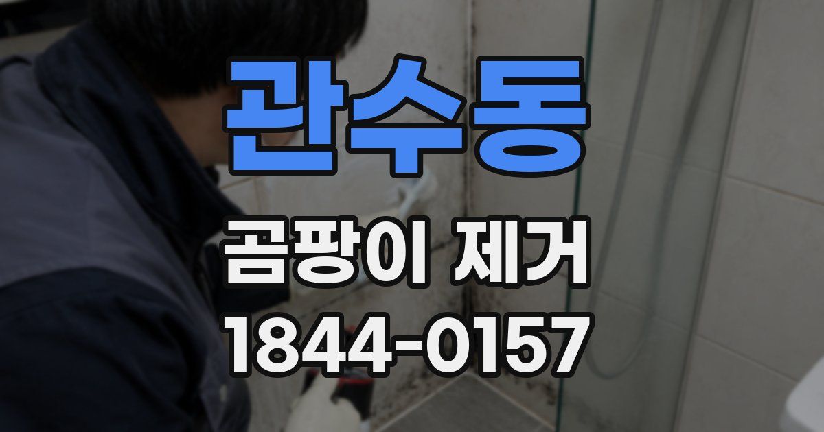 관수동 곰팡이 제거