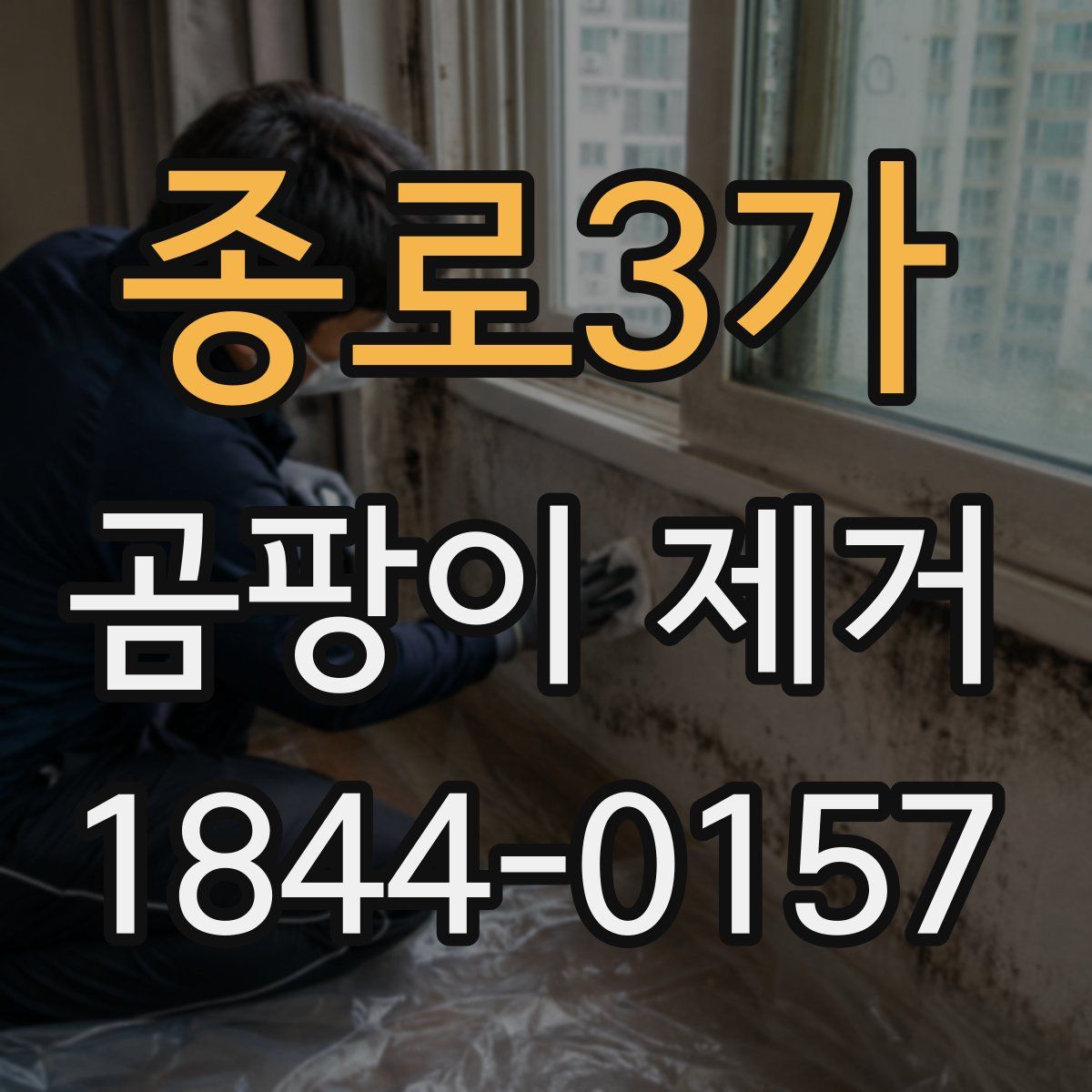 종로3가 곰팡이 제거
