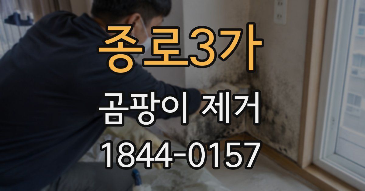 종로3가 곰팡이 제거