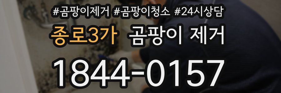 종로3가 곰팡이 제거