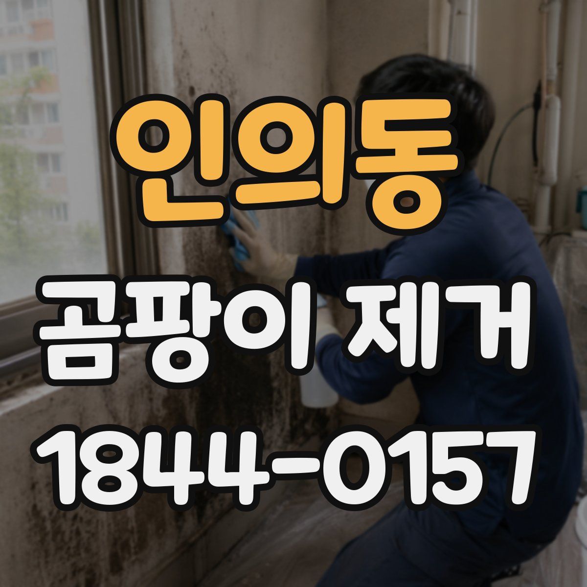 인의동 곰팡이 제거