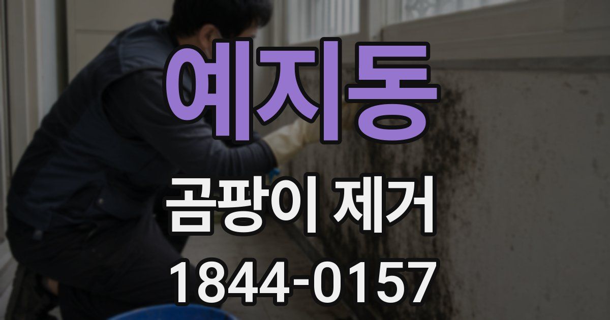 예지동 곰팡이 제거