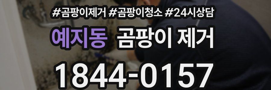 예지동 곰팡이 제거