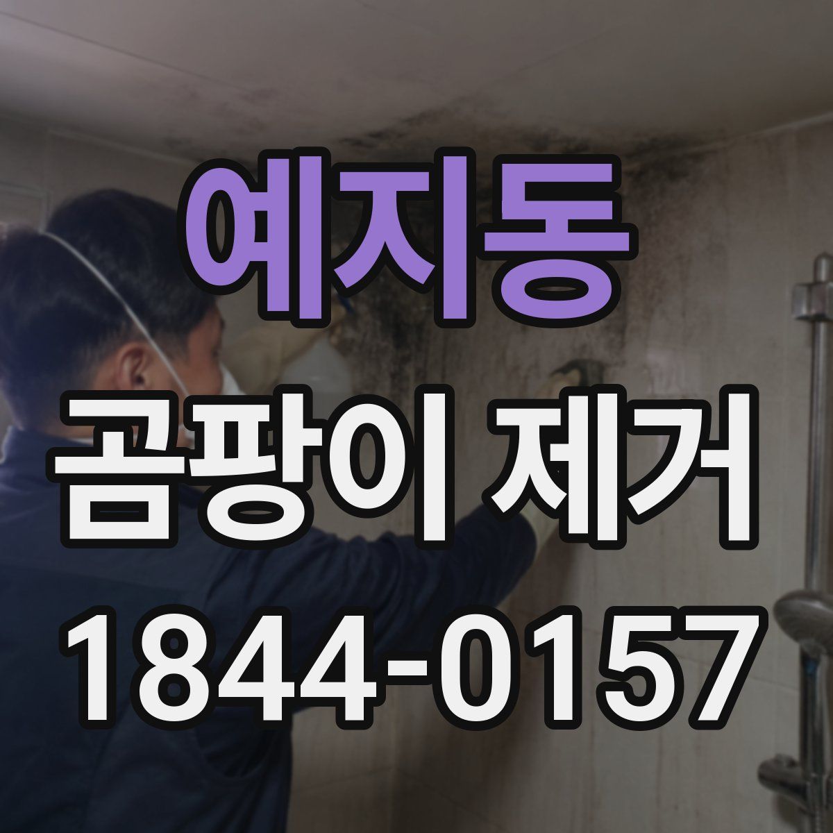 예지동 곰팡이 제거