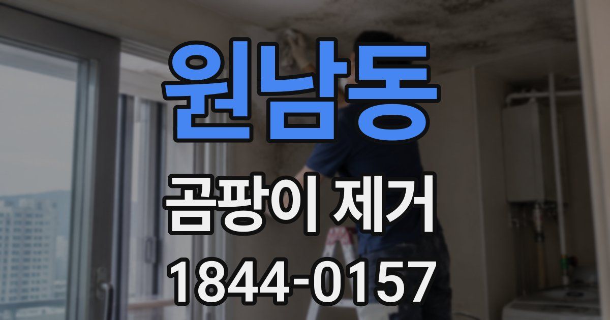 원남동 곰팡이 제거