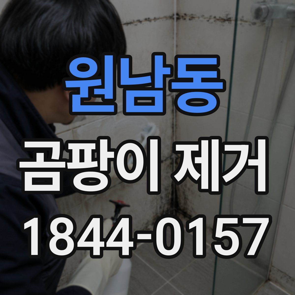 원남동 곰팡이 제거