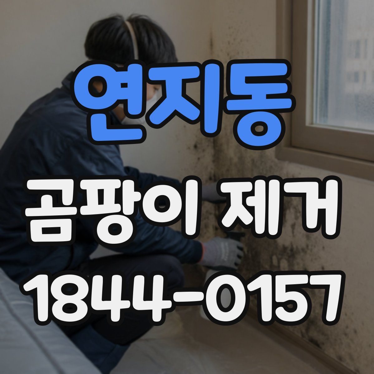 연지동 곰팡이 제거