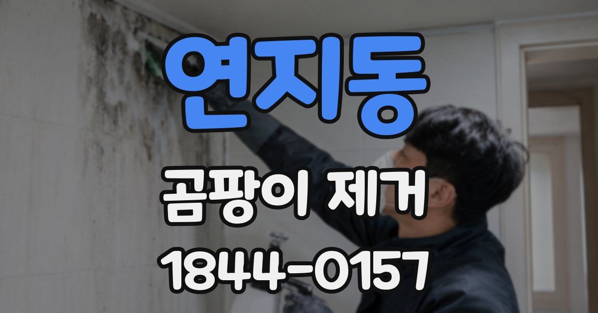 연지동 곰팡이 제거