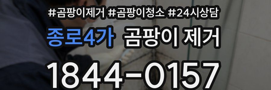종로4가 곰팡이 제거