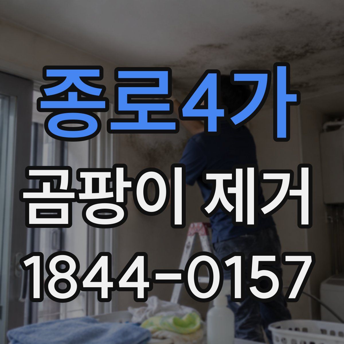 종로4가 곰팡이 제거
