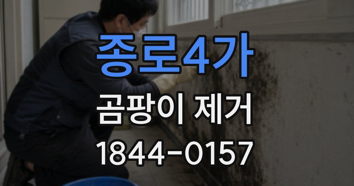 종로4가 곰팡이 제거