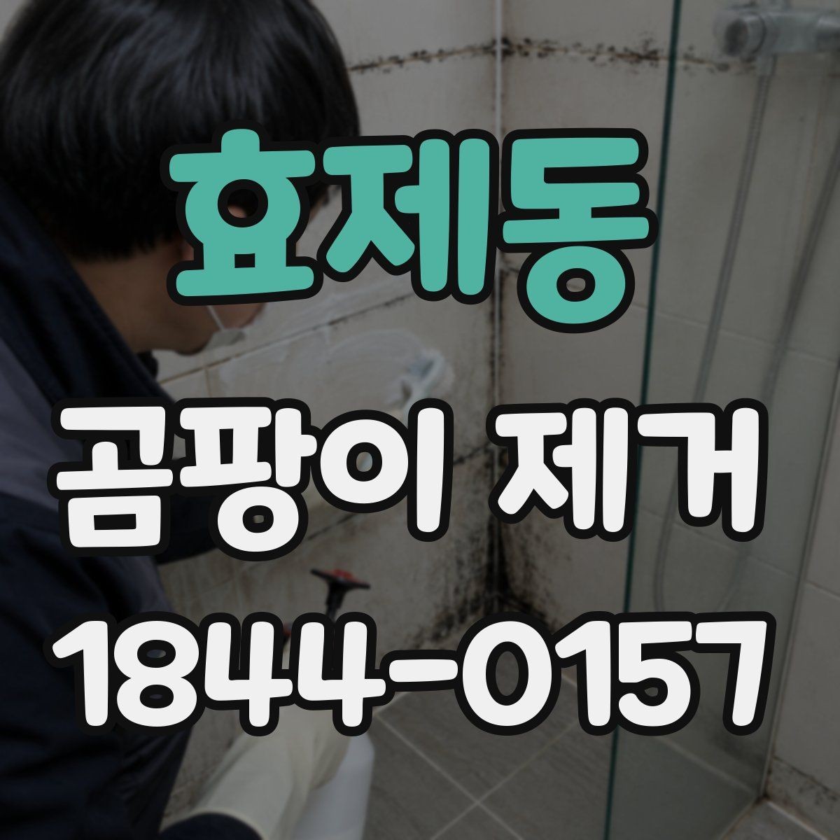 효제동 곰팡이 제거 입주 전에 꼭 보는 누수 흔적 체크