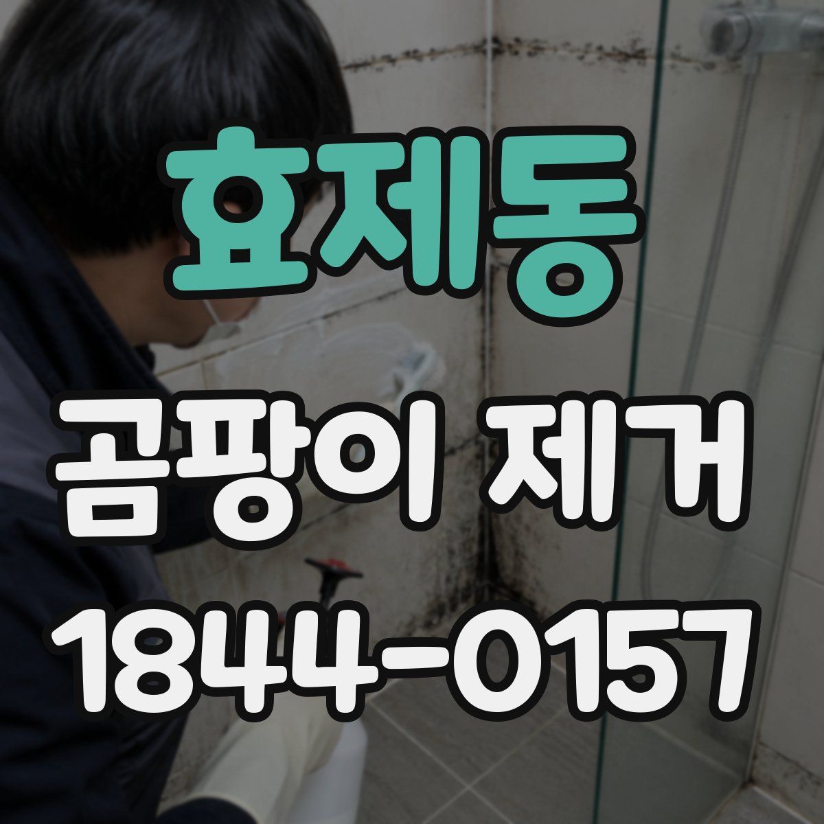 효제동 곰팡이 제거