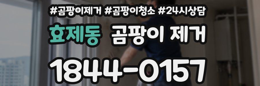 효제동 곰팡이 제거
